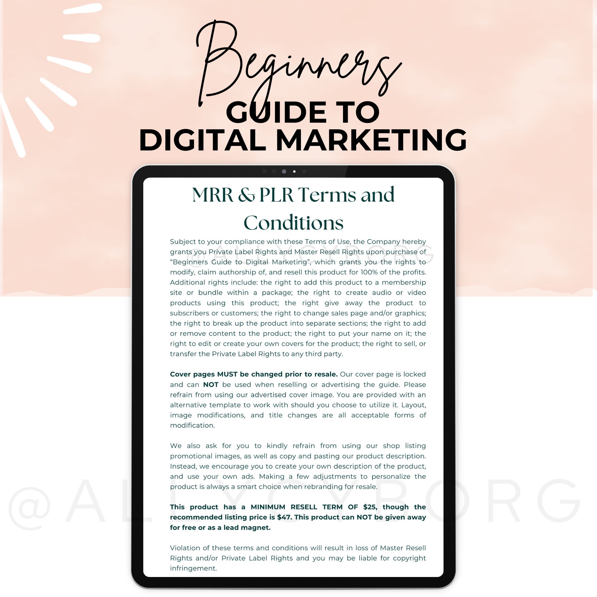 Done for You Digital Marketing Guide W/ Master Resell Rights MRR ...