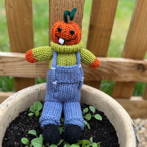 May include: A knitted pumpkin doll wearing blue overalls and a green sweater. The doll is sitting in a terracotta pot with green plants.
