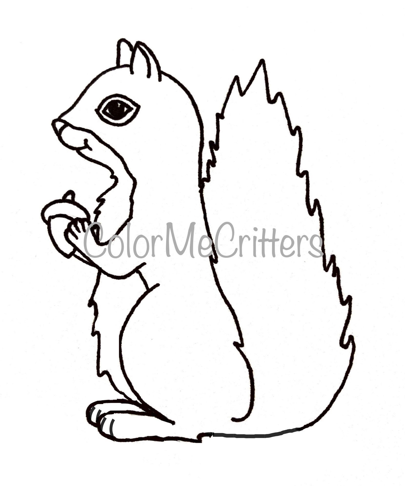 Printable Hand Drawn Squirrel Kids Coloring Page - Etsy