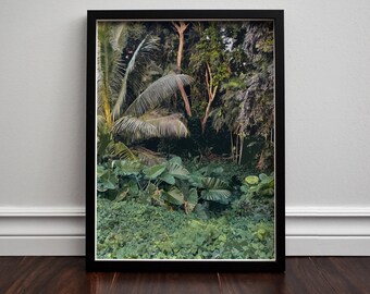 Hawaii Greenery Digital Poster, Digital Wall Art, Plant Print