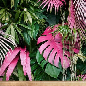 Tropical Pink and Green Leaves Wallpaper - Peel and Stick Wall Mural BV150