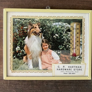 Vintage CB-hardwarereclamestuk met collie