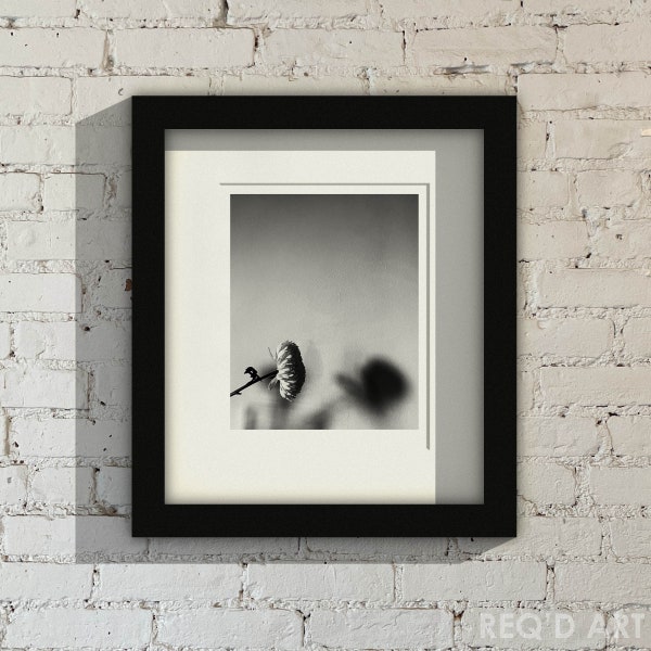 Black & White Flower No:01, Photo Print Series, 11 in x 14 in