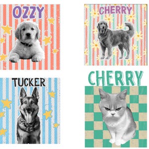 May include: Four square images featuring pets with names. A golden retriever puppy named "Ozzy" on a striped background. A golden retriever named "Cherry" on a floral and striped background. A German Shepherd named "Tucker" on a striped background. A cat named "Cherry" on a checkered background.
