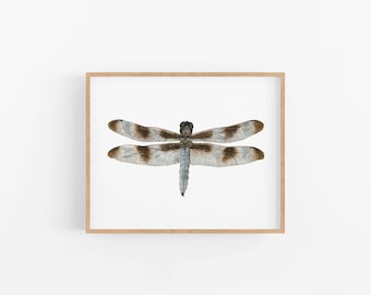 Impresión artística de acuarela de libélula: alas azules y marrones, papel de bellas artes de 8 x 10