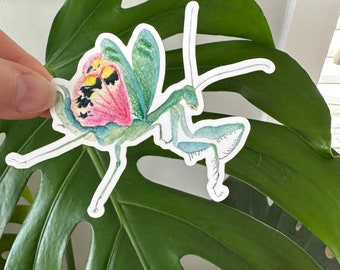 Flower Mantis sticker, praying mantis sticker, waterproof vinyl sticker, water bottle sticker, laptop sticker, cute bug sticker