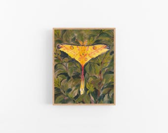 Impresión de polilla cometa: pintura de polilla en acuarela