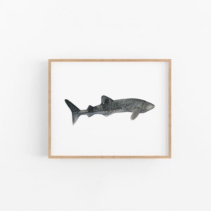 Whale Shark Watercolor Art Print: Signed Fine Art Paper (8x10)