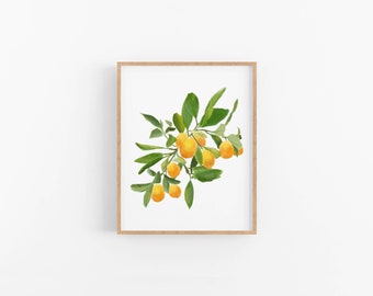 Kumquat Kunstdruck: Zitrus Küche Wand Dekor (20x30)