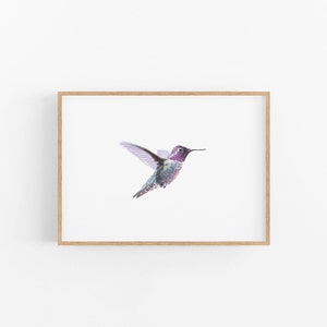 Hummingbird Print, Hummingbird Painting, Purple Hummingbird, Bird Illustration, Avian Painting, Watercolor Bird Painting, Bird Art, Birds