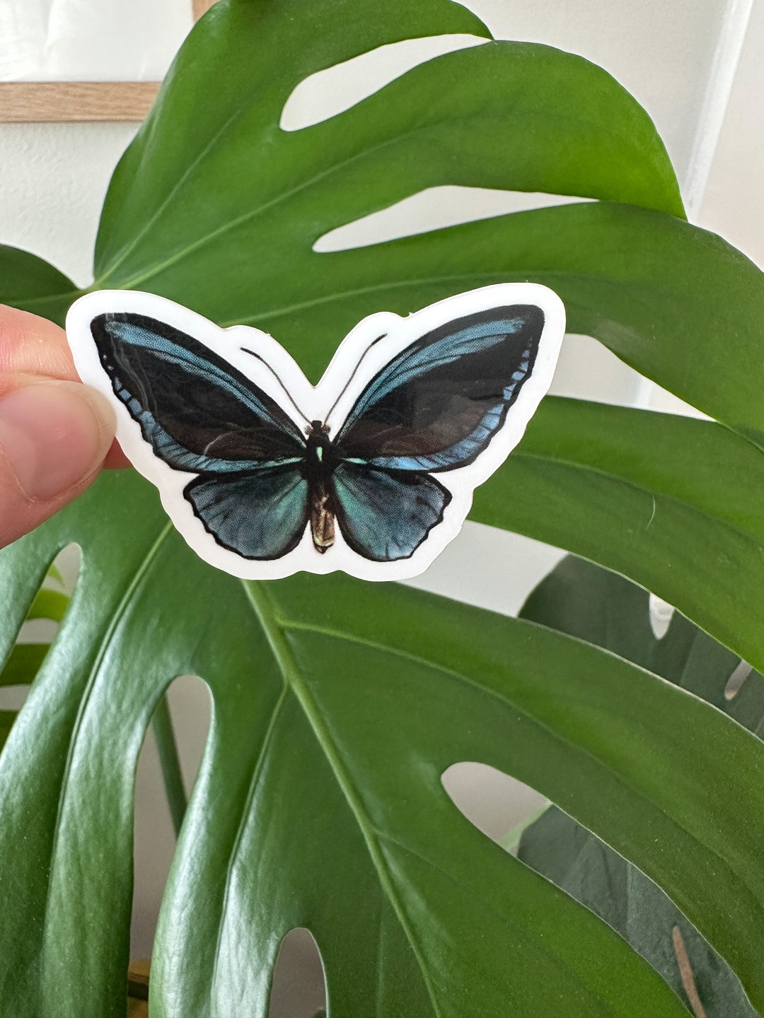 Butterfly Sticker Pretty Blue Butterfly Sticker Waterproof Etsy