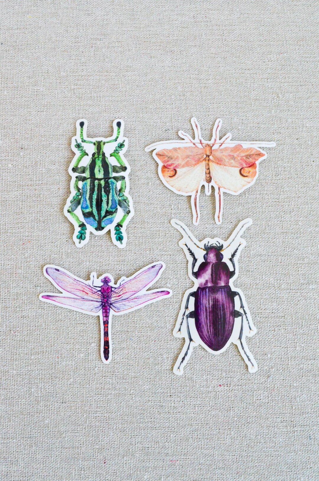 Insect Stickers: Waterproof Vinyl Dragonfly, Beetle & Weevil Set - Etsy