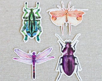 Pegatinas de insectos: vinilo impermeable de libélulas, escarabajos y gorgojos