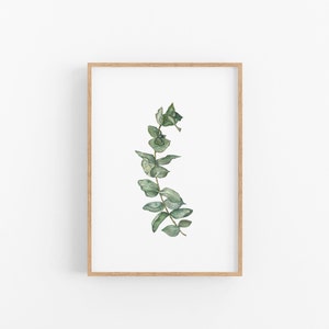 Eucalyptus Fine Art Print, Watercolor Greenery, Eucalyptus Painting, Botanical Watercolor Illustration, Eucalyptus Watercolor Art Print, 5x7