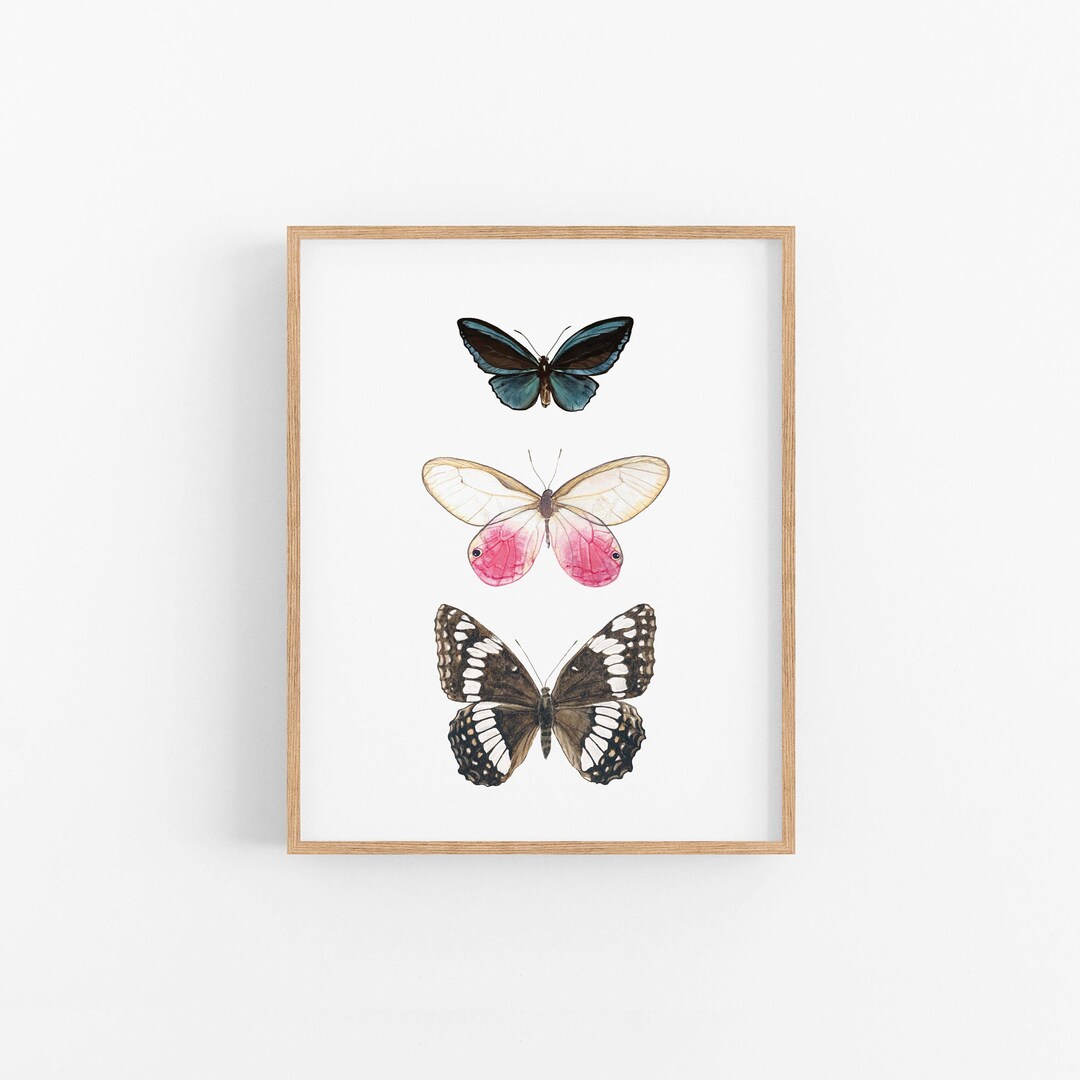 Multi Butterfly Drawing Butterfly Art Print, Multi Butterfly Watercolor Art Print, 3 ...
