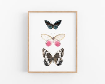 Peut inclure: Une impression encadrée représentant trois papillons disposés verticalement. Le papillon du haut est bleu et noir, le papillon du milieu est blanc avec des accents roses et le papillon du bas est noir et blanc.