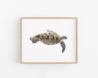 Green Sea Turtle Art Print: Hand-Painted Watercolor Illustration