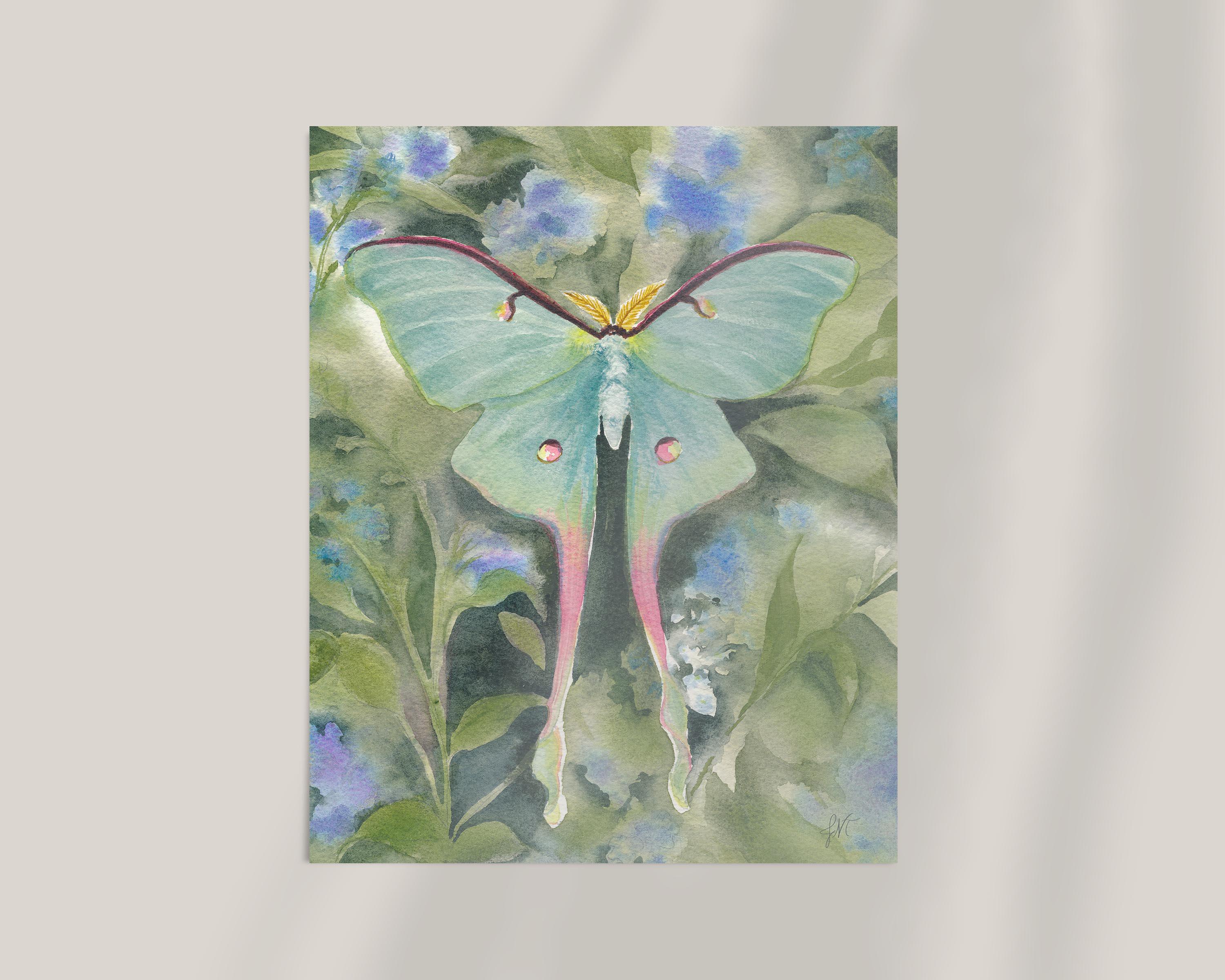 Luna Moth Print: Watercolor Moth Painting - Etsy