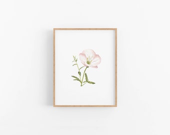 Primrose Print, Pink Floral Print, Wildflower Print, Primrose Painting, Floral Watercolor Painting