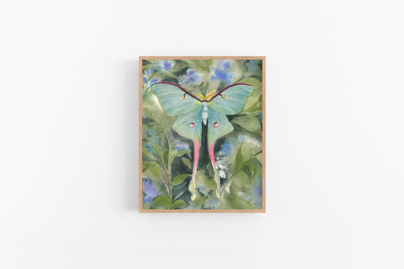 Luna Moth Print: Watercolor Moth Painting - Etsy