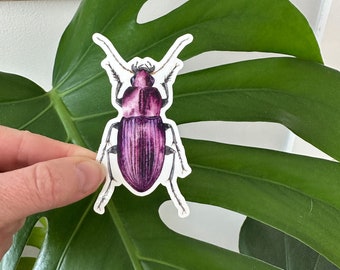 Beetle sticker, purple beetle sticker, waterproof vinyl sticker, water bottle sticker, laptop sticker, cute bug sticker