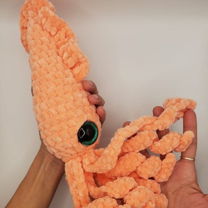Simon the Squid