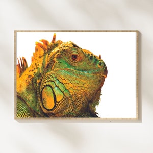 Colorful Iguana Head Digital Print, Nature Photography, Animal Lover Gift, Lizard Wall Art, Lizard Lover, Reptile Photo Art Print, Printable