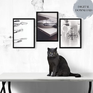 Set of 3 Music Prints, B&W Music Photos, Vinyl Record Player Print, Classic Vintage Microphone Print, Guitar Poster, PRINTABLE Music Art