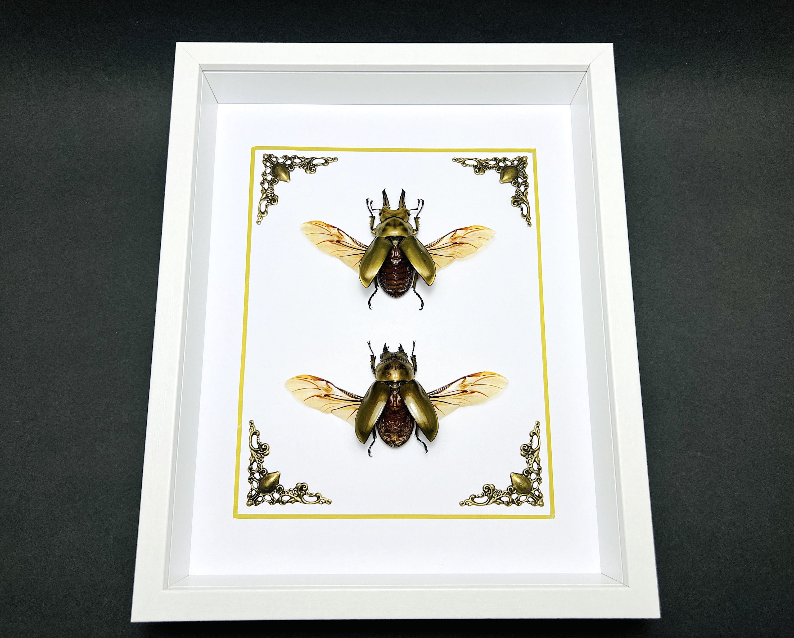 Brass Golden Bees Vintage Beetle Ornament Figurine Sculpture