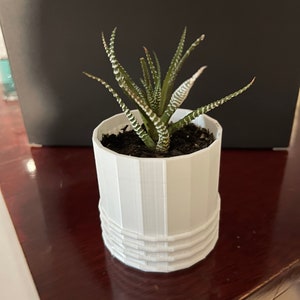 Könnte beinhalten: Eine kleine, grün-weiße Sukkulente in einem weißen, zylindrischen Topf mit strukturiertem Design.
