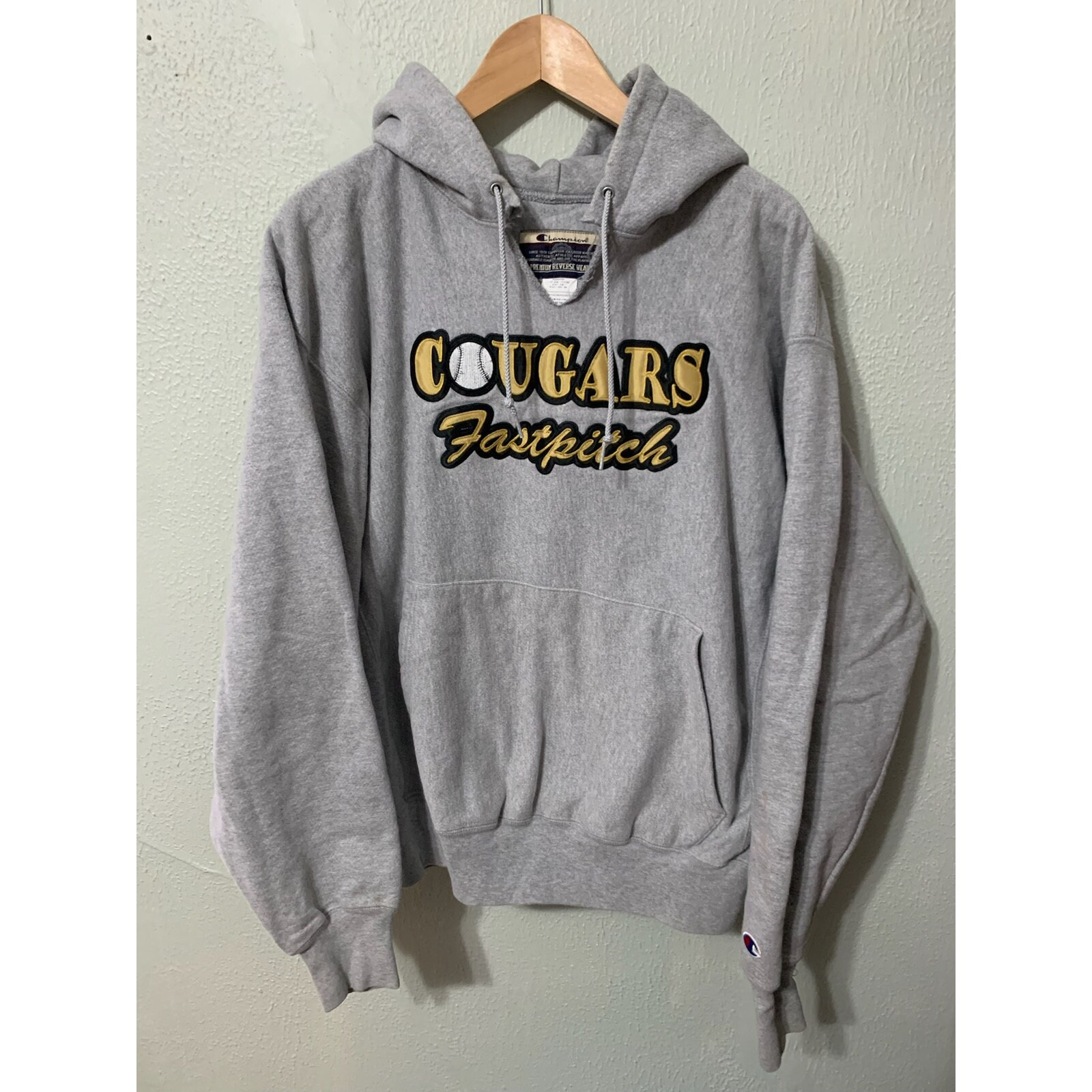 Vintage Champion Reverse Weave HS Hooded Swestshirtvintage Tshirt 