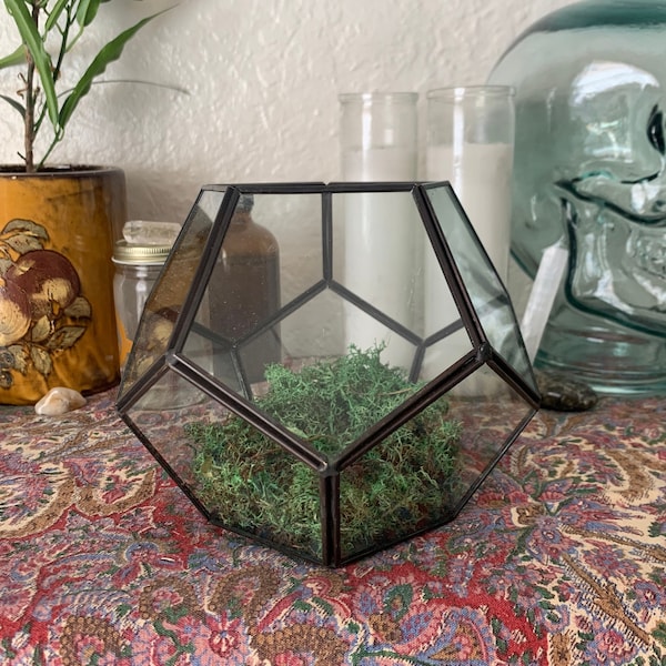 Medium Wide Open Hexagonal Glass Case Casket Terrarium