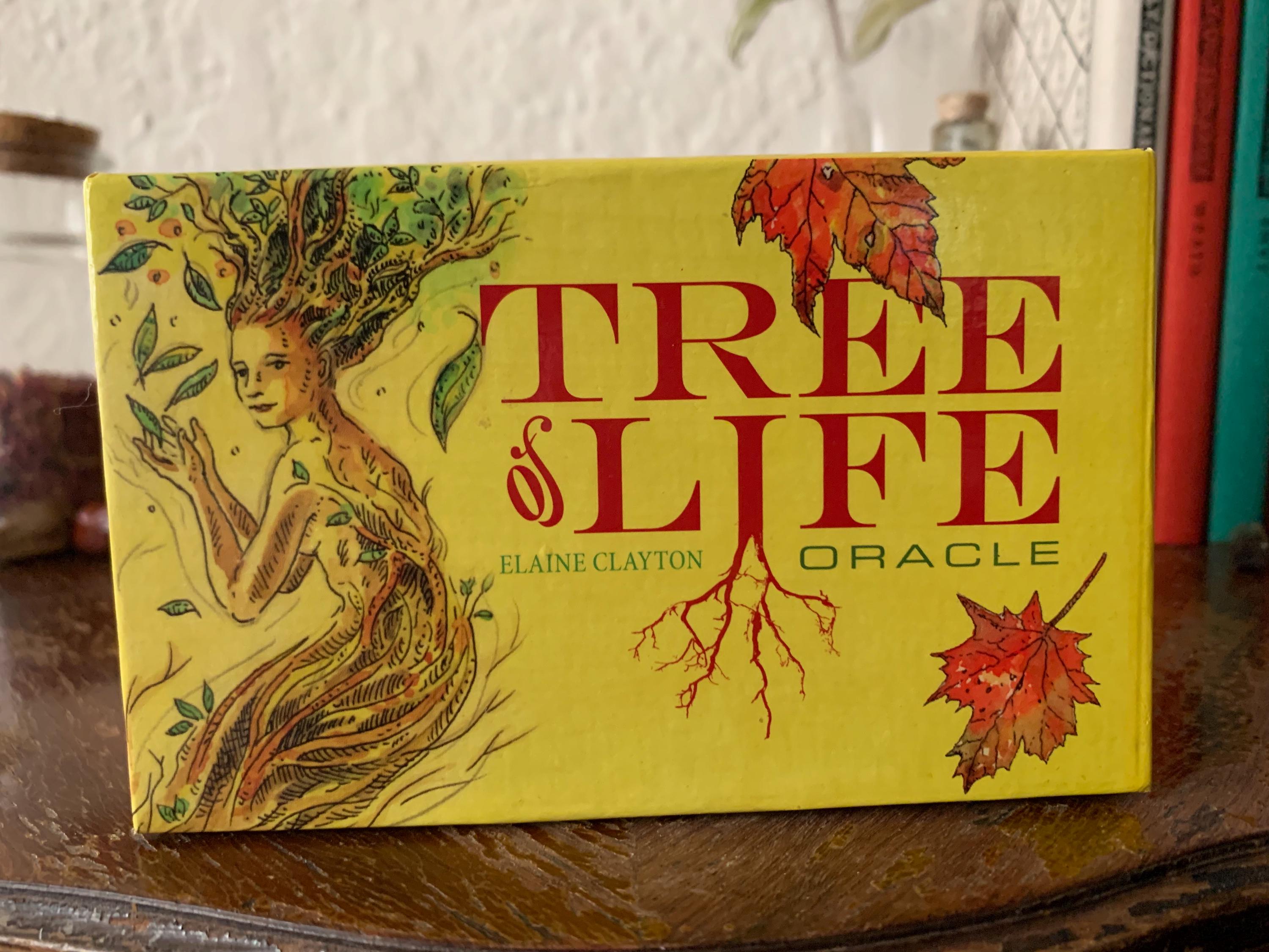 The Tree of Life Oracle | Unboxing and Flip Through - YouTube