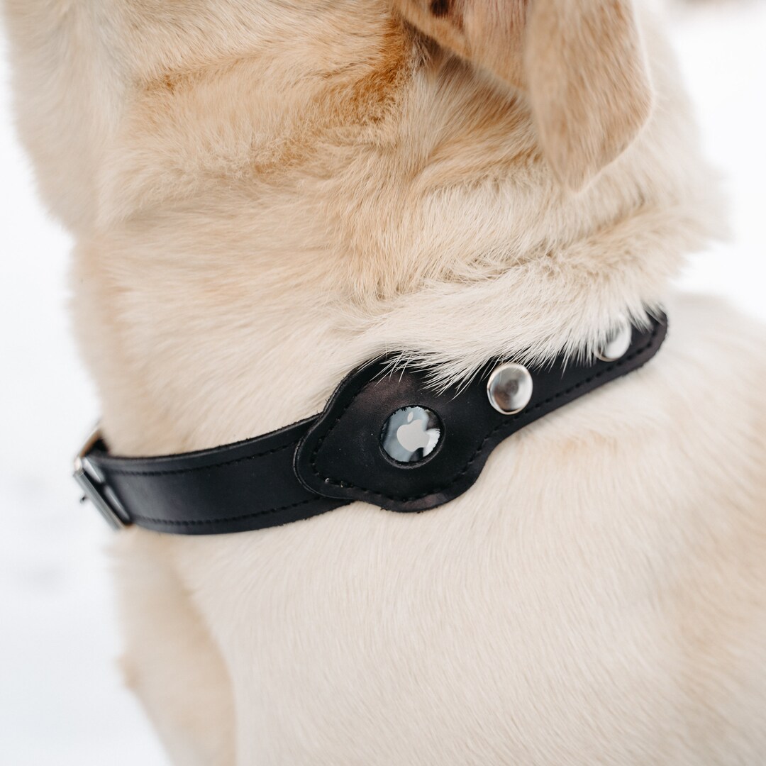 Apple AirTag Dog Collar,air Tag Holder Dog Collar,personalized Leather