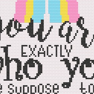 Pansexual Pride Rainbow - Cross Stitch Pattern