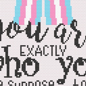 May include: Cross-stitch embroidery with a pink, blue, and white striped design. The text reads "You are exactly who you are suppose to be."