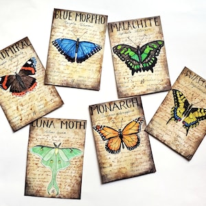 Aquarelle originale ACEO papillon et mite - carte d'art à collectionner vintage style guide de terrain