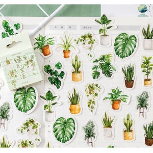 Feuilles vertes, plantes de monstera, ensemble d'autocollants de plantes d'intérieur pour la journalisation et les cadeaux d'amoureux des plantes