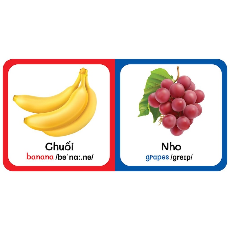 Bilingual Vietnamese English Picture Dictionary - Yellow Set of 9 First ...