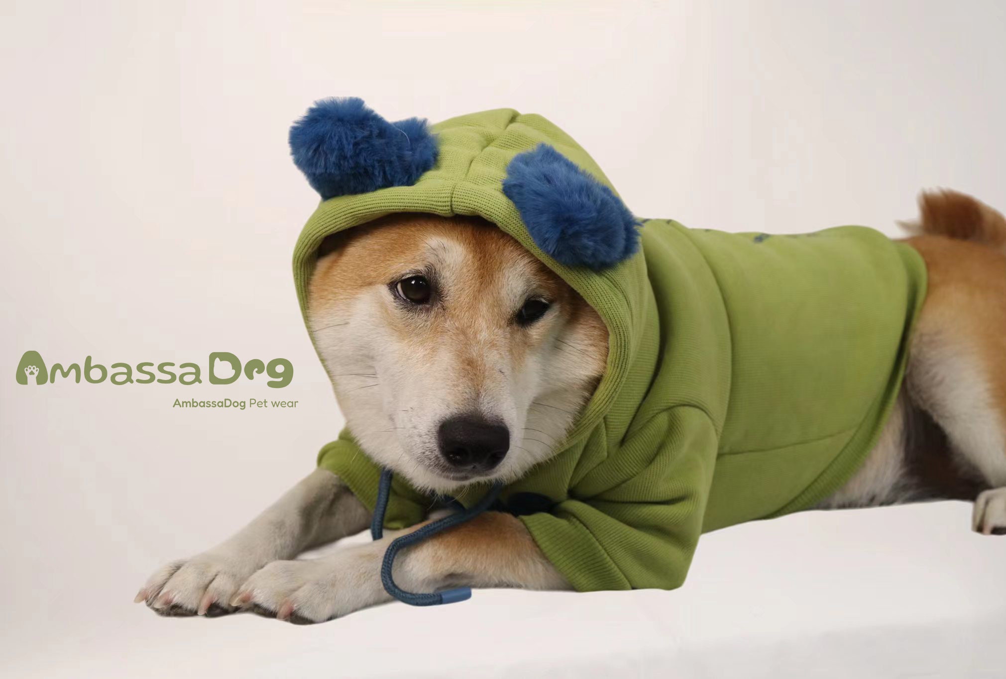 Grüner Hunde Hoodie mit niedlichen blauen Ohren