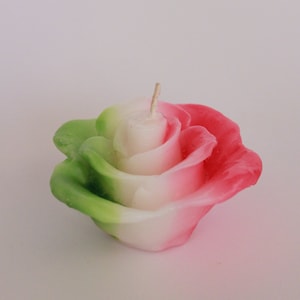 Tri Colored Floral Floating Candles | Floating Candles | Weddings, Engagements, Proposal, Spa, Party Decor | Pack of 8