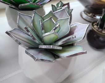 Stained Glass Succulent - made to order