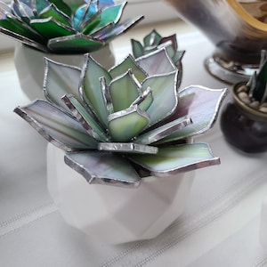 Stained Glass Succulent - made to order
