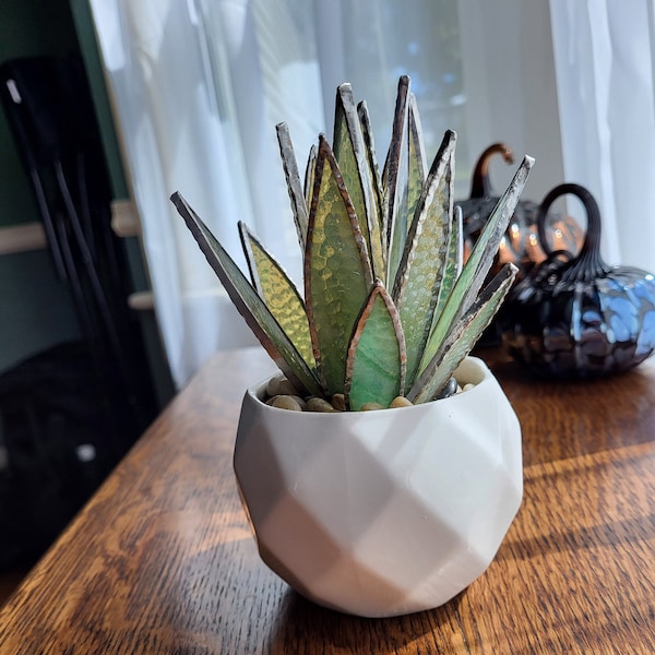 Stained Glass Aloe