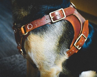 Genuine Leather dog Harness | Custom Dog Harness | Handmade Dog Harness | Adjustable Dog Harness