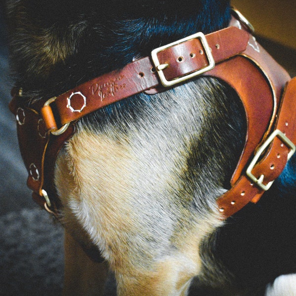 Hondentuig van echt leer | Aangepaste hondenharnas | Handgemaakt hondenharnas | Verstelbare hondenharnas