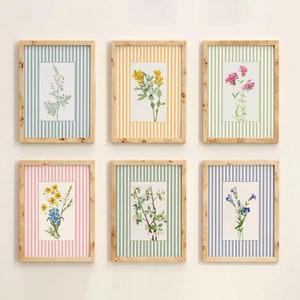May include: Six framed prints with different floral designs on a white wall. Each print features a different flower or plant on a striped background. The prints are all the same size and are arranged in two rows of three.