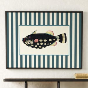 May include: Framed art print featuring a detailed illustration of a black fish with white spots, red accents, and yellow and pink fins. The artwork is set against a white background with a teal border, framed by a black frame and a teal and white striped background.