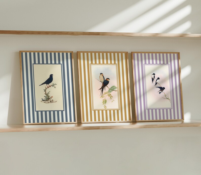Vintage Bird Wall Art Set of 3, Colorful Classic Gallery Wall Decor - Etsy