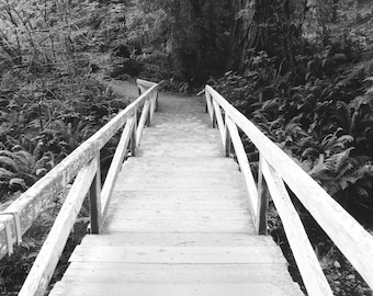 Redwood National Park Photo Print, Photography, Home Decor, Wall Art, Black and White Print, Mat Mounted Print, 35mm Film Print - 028